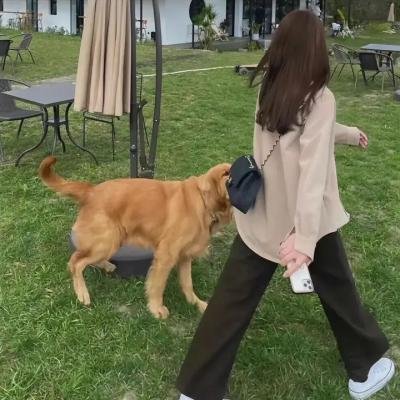 冒牌死党